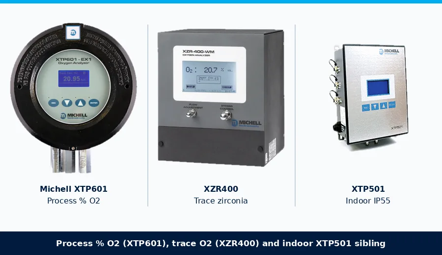 Michell XTP601 process oxygen analyzer with XZR400 zirconia and XTP501 indoor sibling